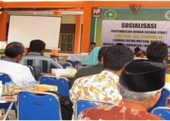 Kemenag dan MUI Klaten Sosialisasikan Penyembelihan Hewan