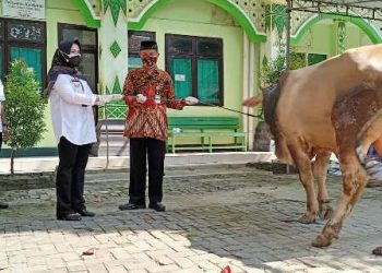 Kakankemenag Klaten Pantau Penyembelihan Hewan Qurban