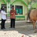 Kakankemenag Klaten Pantau Penyembelihan Hewan Qurban