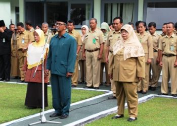 Pelepasan purna tugas